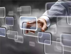 泰安廣寶寶馬信息咨詢服務 專業購車顧問，駕馭精彩未來